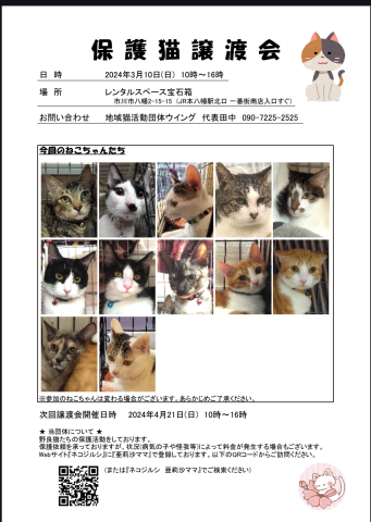 市川市地域猫活動団体ウイング譲渡会