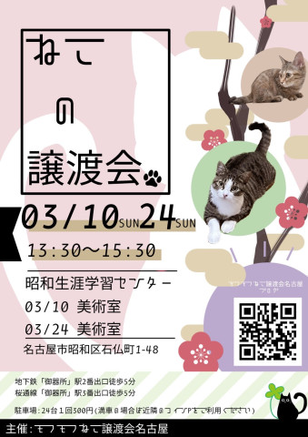 猫の譲渡会　in　名古屋市昭和生涯学習センター