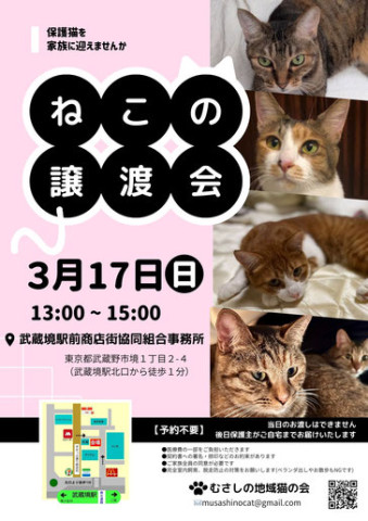 むさしの地域猫の会　譲渡会