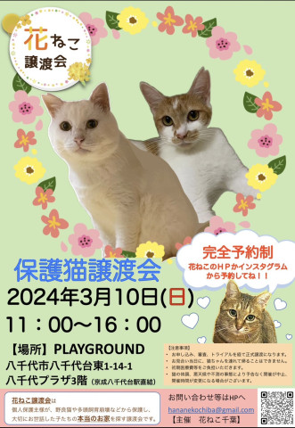 花ねこ譲渡会