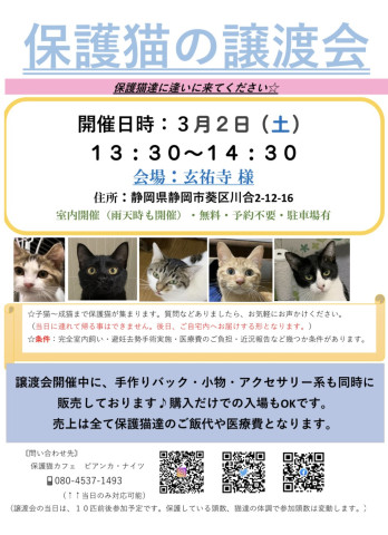 保護猫の譲渡会