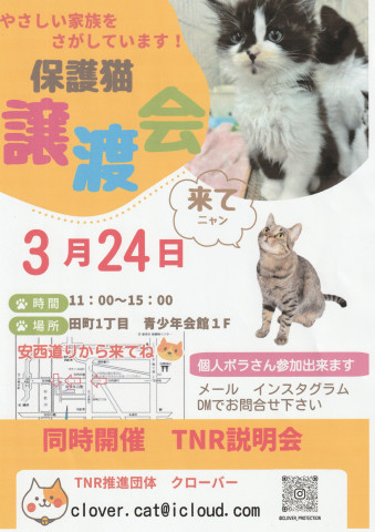 クローバー　保護猫譲渡会＆ＴＮＲ相談会 in 静岡市葵区