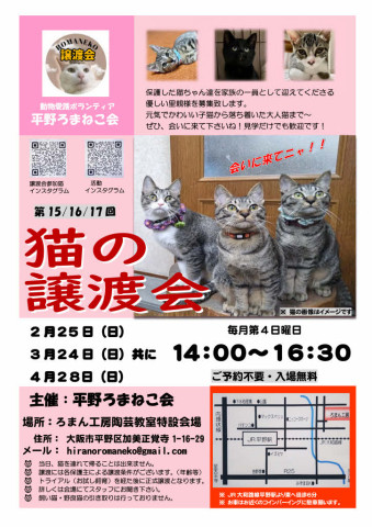 第16回平野ろまねこ譲渡会