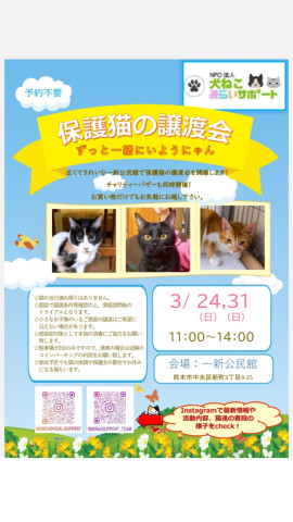 犬ねこみらいサポート保護猫譲渡会IN一新公民館