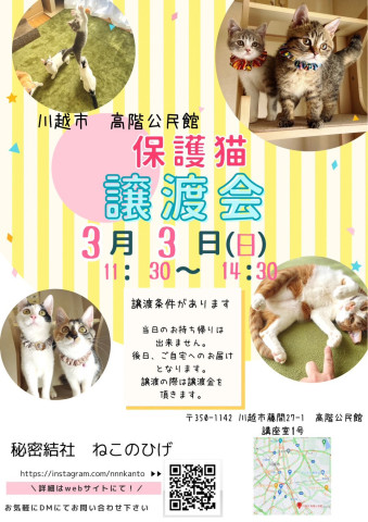 秘密結社ねこのひげ♡保護猫譲渡会