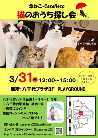 傘ねこ🐈猫のおうち探し会（八千代の譲渡会）