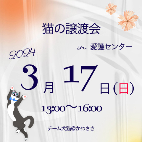 猫の譲渡会 in 動物愛護センター