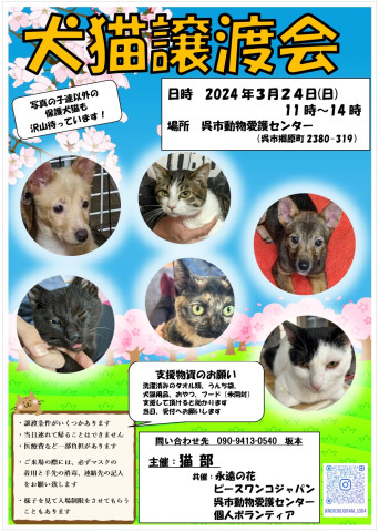 犬猫譲渡会