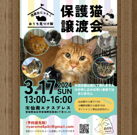 保護猫譲渡会