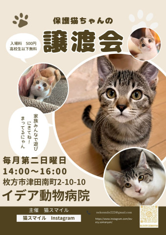 ねこの譲渡会＠枚方市