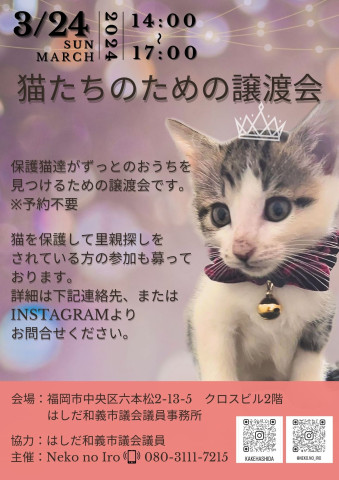 猫のための譲渡会