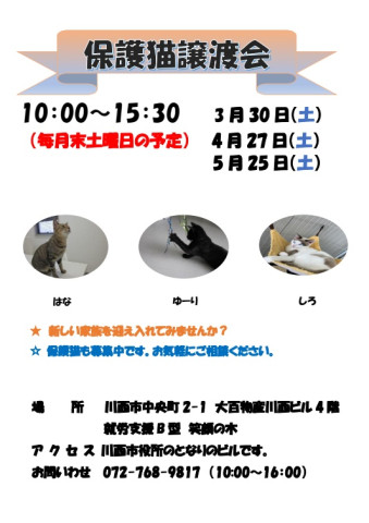 保護猫譲渡会