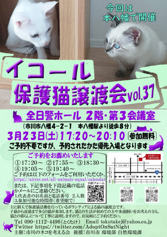 【千葉県市川市】40頭以上参加：イコール保護猫譲渡会vol.37