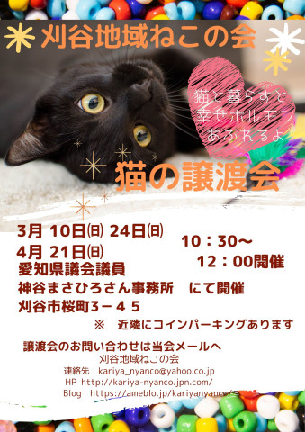 刈谷地域ねこの会　譲渡会