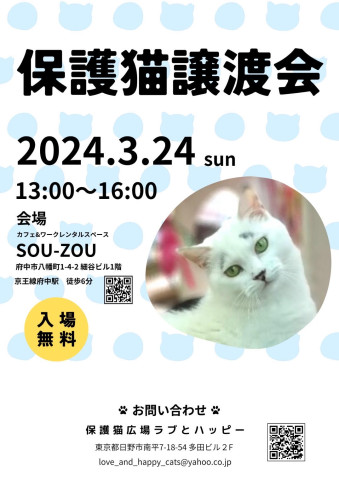 保護猫広場ラブとハッピー 猫の譲渡会