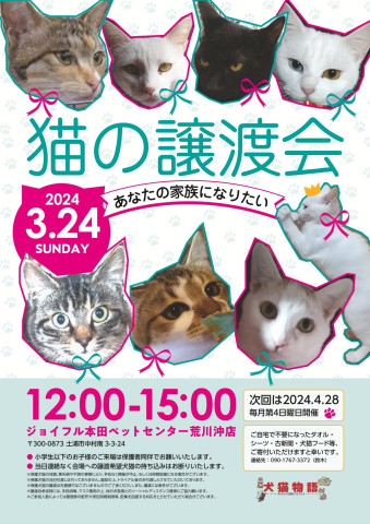 猫の譲渡会～あなたの家族になりたい～  　　