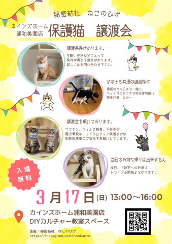 秘密結社ねこのひげ♡保護猫譲渡会