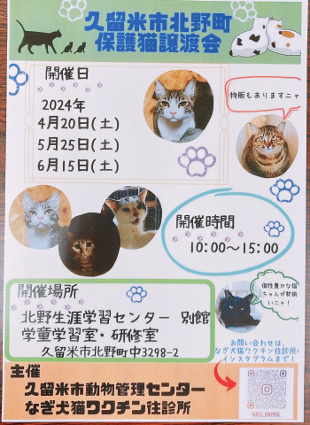 ★福岡県久留米市★保護猫の譲渡会@北野生涯学習センター別館