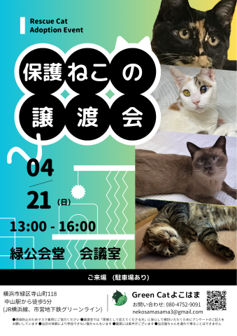 保護ねこの譲渡会　GreenCatよこはま