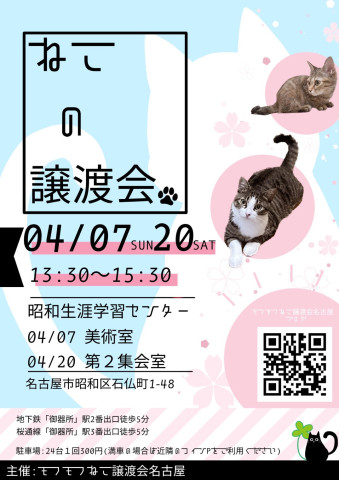 猫の譲渡会　in　名古屋市昭和生涯学習センター