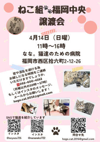 ねこ組🐾福岡中央譲渡会atなな。猫達のための病院