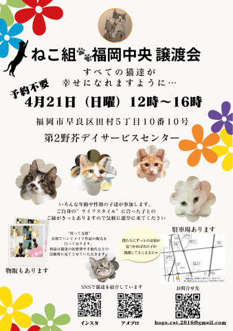 ねこ組🐾福岡中央譲渡会　第2野芥デイサービスセンター