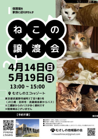 むさしの地域猫の会　譲渡会