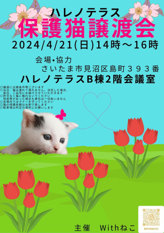 【さいたま市】4/21（日）ハレノテラス保護猫譲渡会