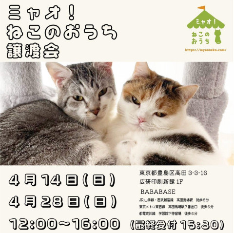 ミャオねこ譲渡会◆高田馬場