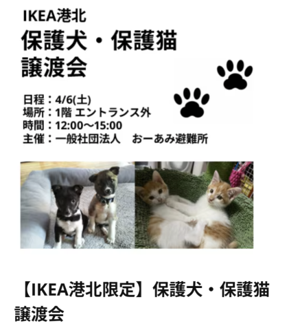 おーあみ避難所譲渡会 in IKEA港北