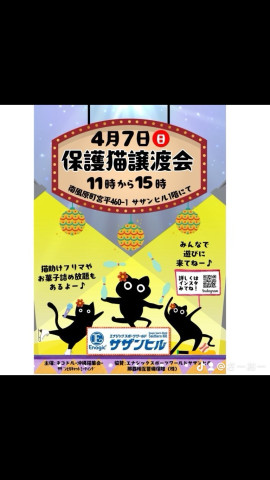 保護猫譲渡会