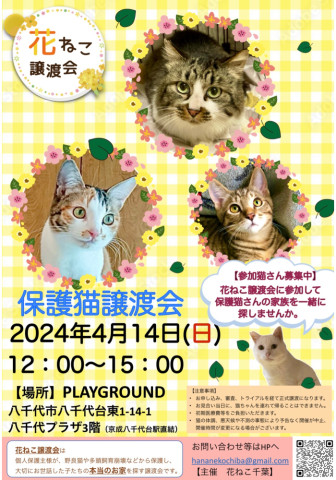 花ねこ譲渡会