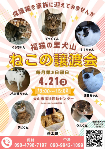 猫の譲渡会 @犬山市福祉活動センター