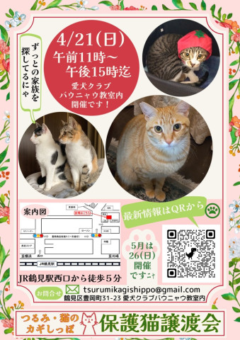 つるみ・猫のカギしっぽ　定例譲渡会　4月21日（日）JR鶴見駅西口歩5分　室内開催