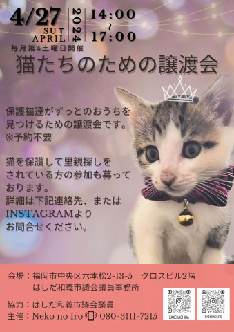 猫たちのための譲渡会