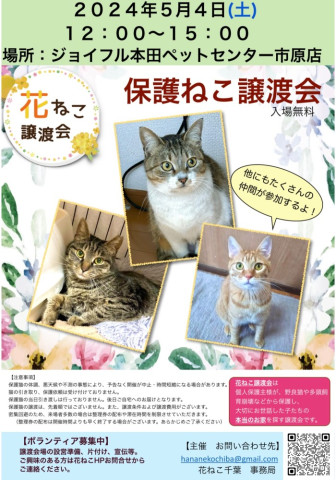 花ねこ譲渡会