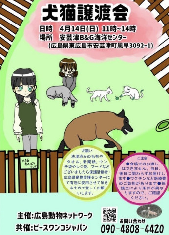 犬猫譲渡会