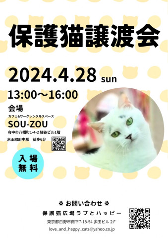 保護猫広場ラブとハッピー 猫の譲渡会