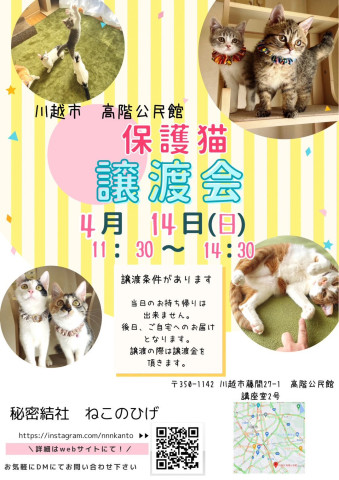 秘密結社ねこのひげ♡保護猫譲渡会