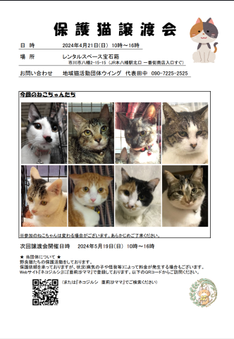 市川市地域猫活動団体ウイング譲渡会