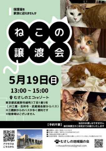 むさしの地域猫の会　譲渡会