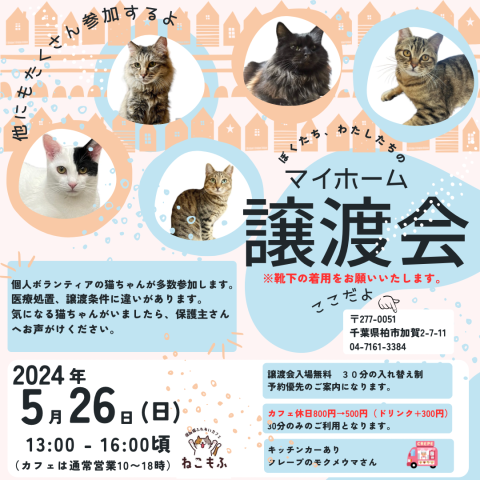 保護猫カフェde譲渡会