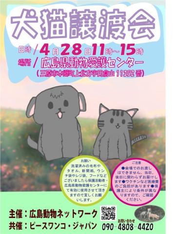 犬猫譲渡会