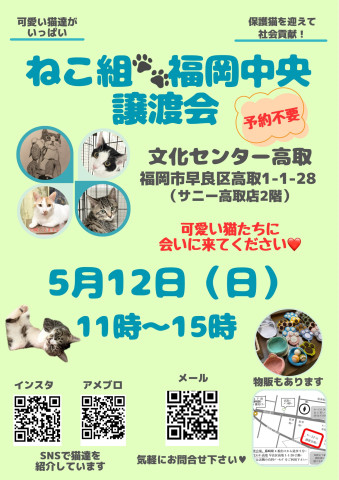 ねこ組🐾福岡中央譲渡会　文化センター高取