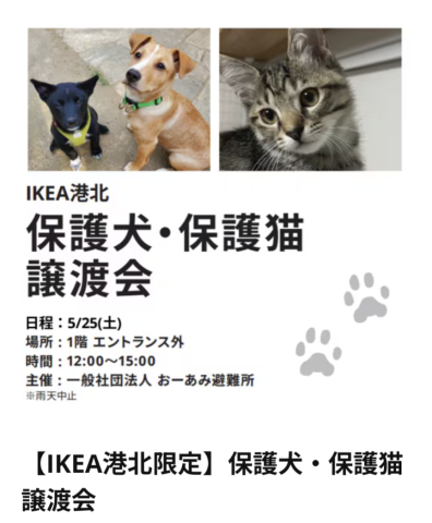 おーあみ避難所譲渡会 in IKEA港北