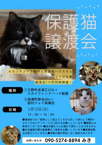 保護猫譲渡会