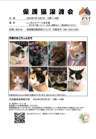 市川市地域猫活動団体ウイング譲渡会