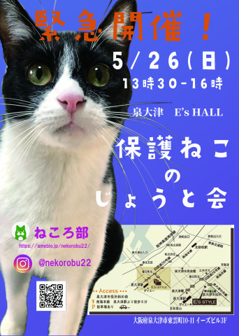 「保護ねこの譲渡会」