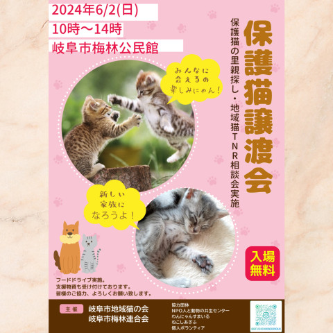 岐阜市地域猫の会  譲渡会