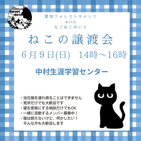 保護猫譲渡会　名古屋市中村区